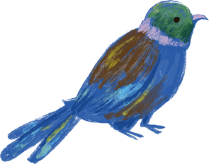 Tui Bird Illustration